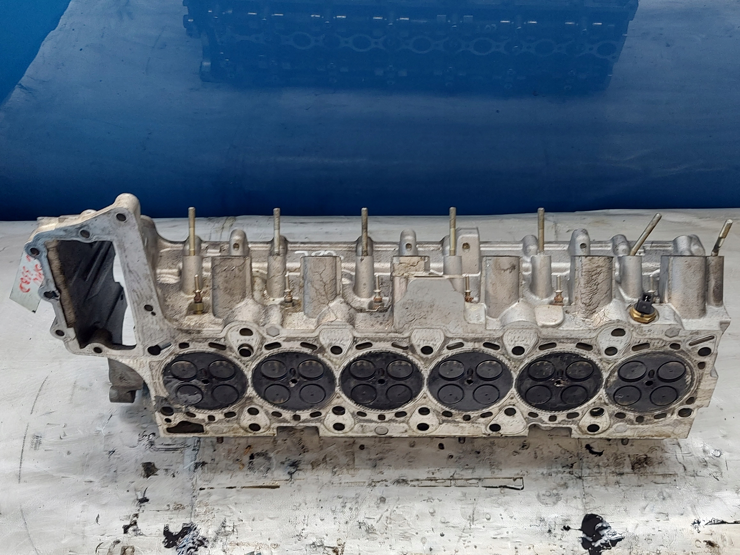 TESTATA BMW E53 X5 M57 3.0 TD 22468759