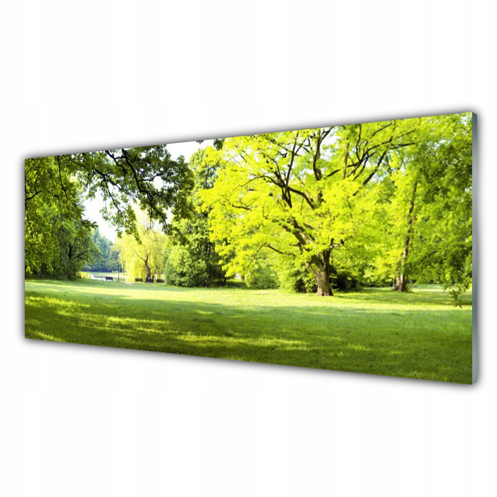 

Fotoobraz akryl 125x50 Trawa Drzewa Park Przyroda
