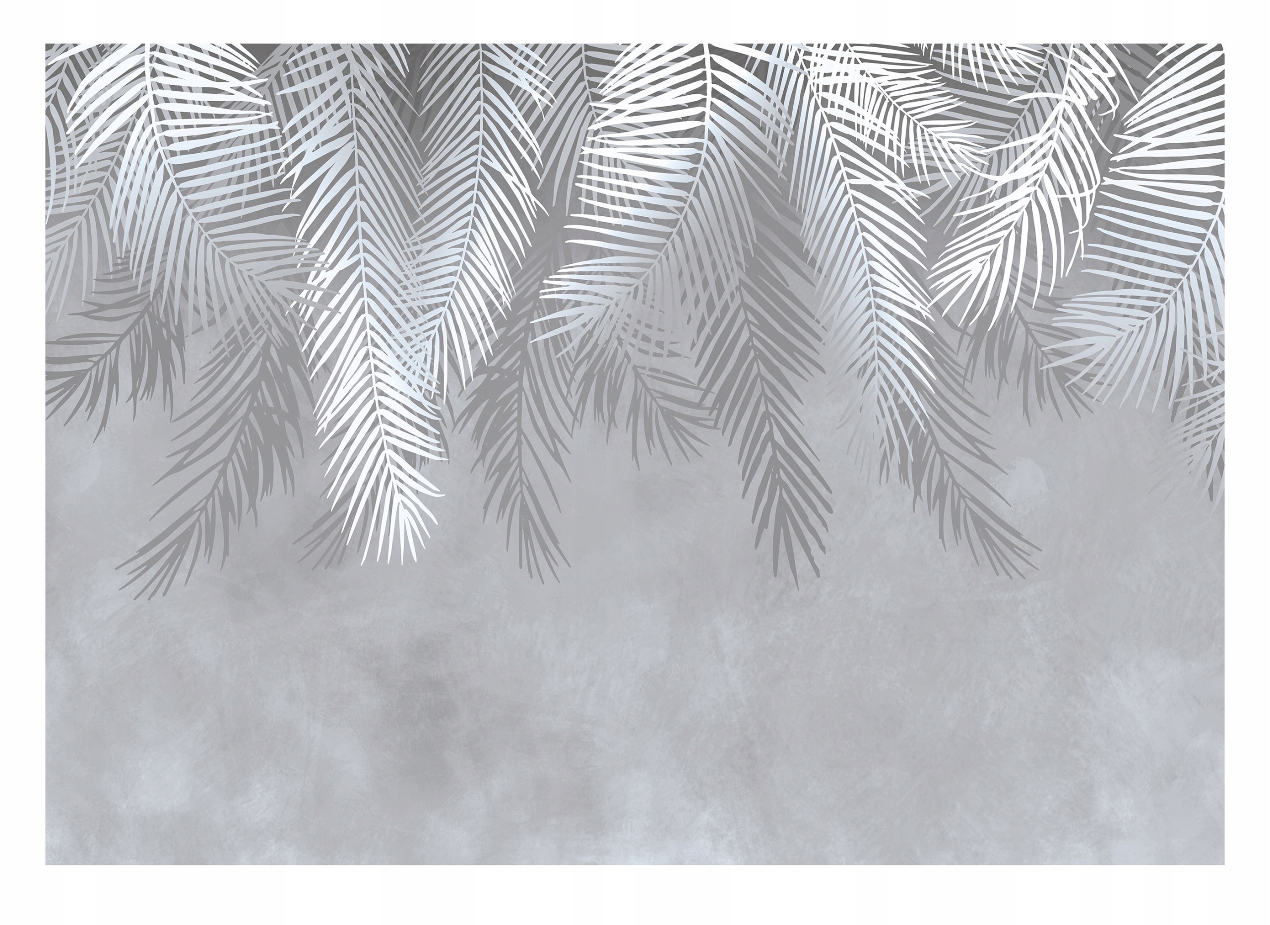 FOTOTAPETA LIŚCIE PALMY SZARA WISZĄCE PIÓRA NA FLIZELINIE ŚCIANĘ 416x254