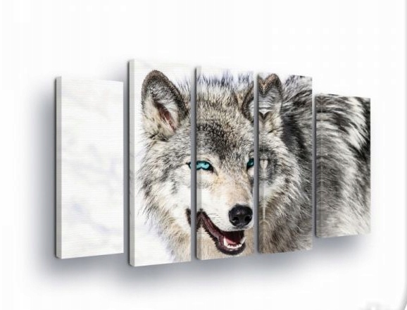 Obraz 150x100 Vlk pohľad vlka divoká príroda sila zvieratá