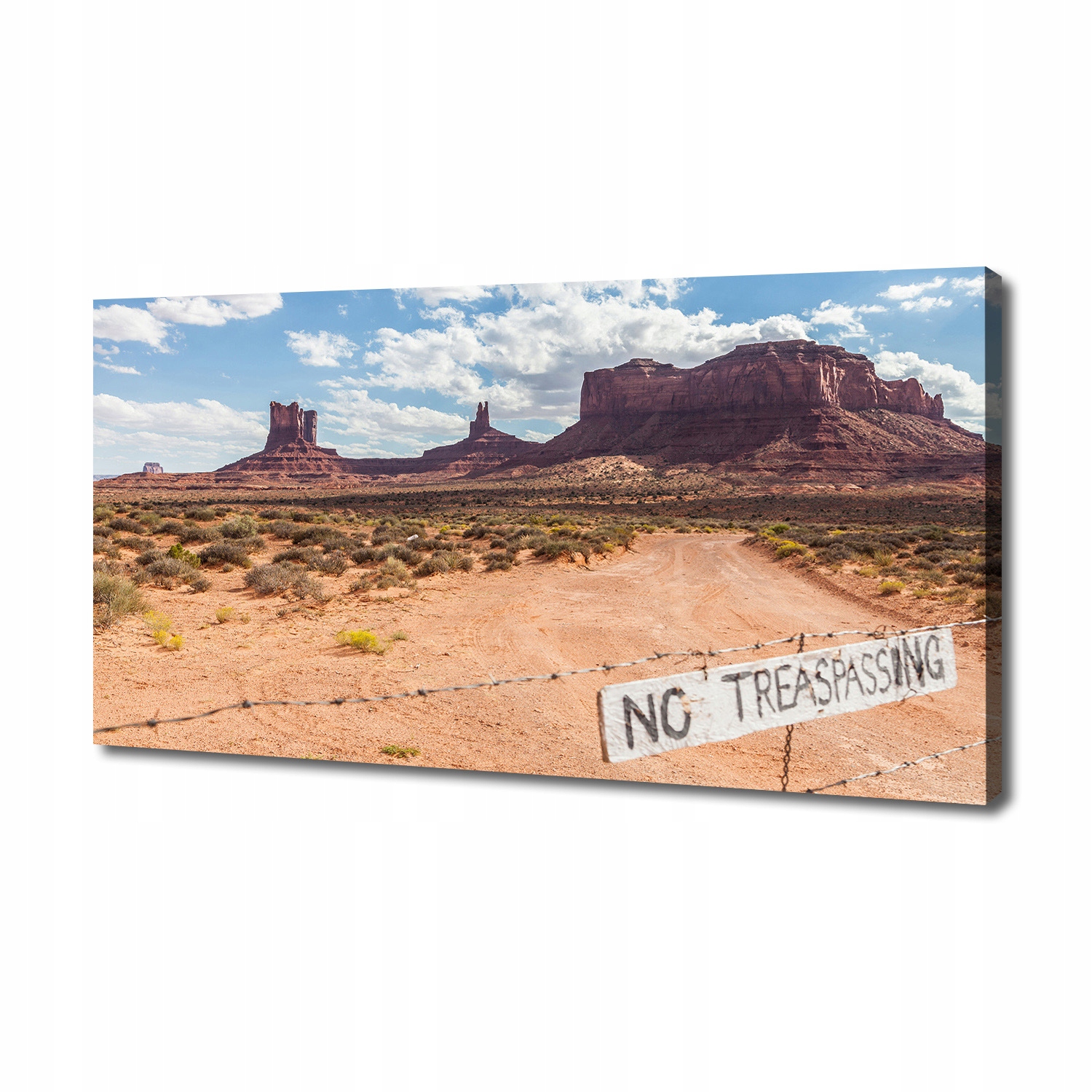 

Foto obraz canvas na ścianę Arizona Usa 140x70 cm