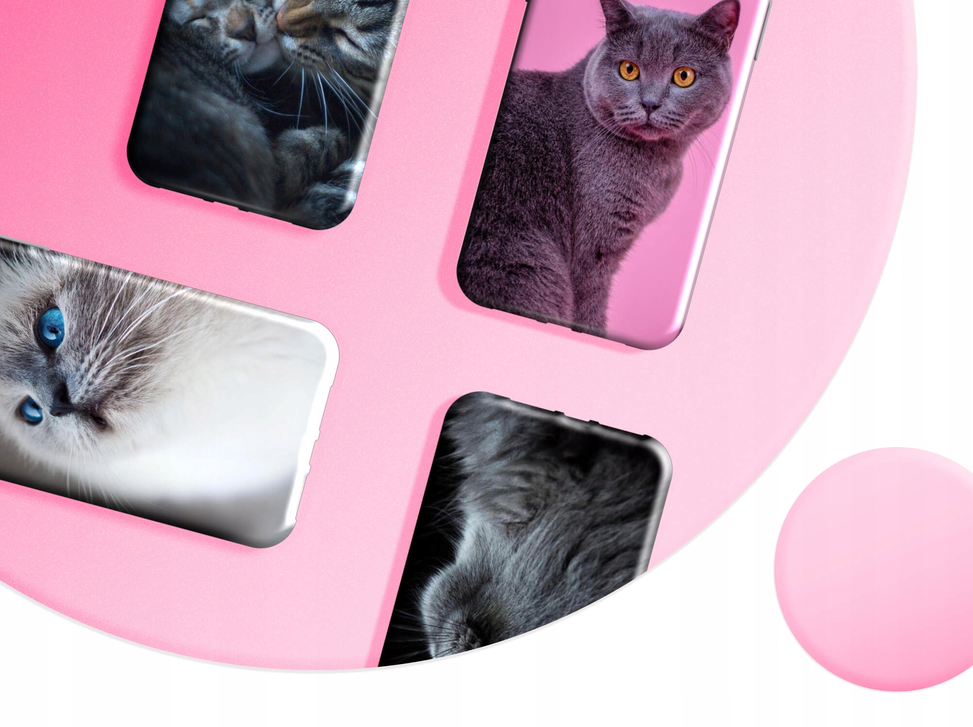 ETUI DO SAMSUNG GALAXY M21 WZORY KOTY KOTKI KOCIAKI OBUDOWA POKROWIEC CASE Dedykowana marka Samsung