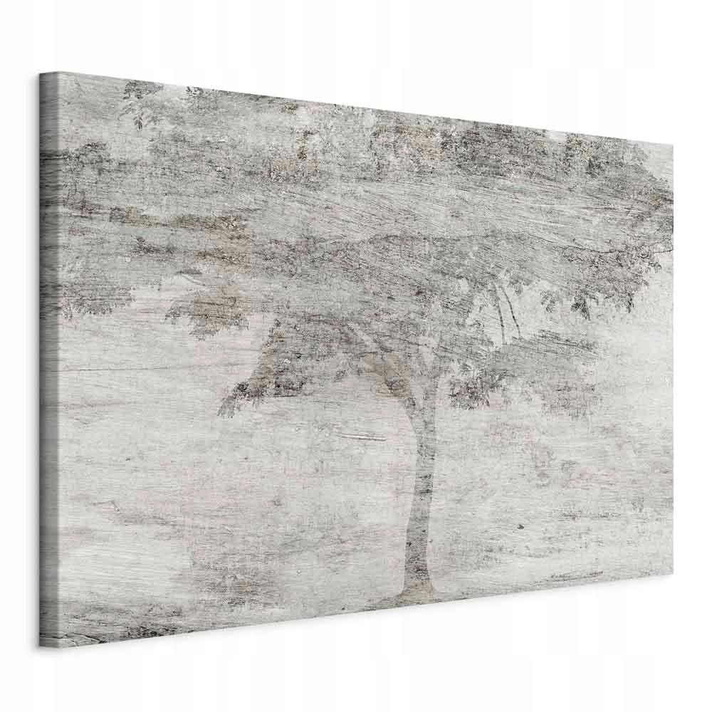 Obraz Na Plátně Dřevo Příroda Na Betonu Boho Do Obývacího Pokoje Ložnice 120x80