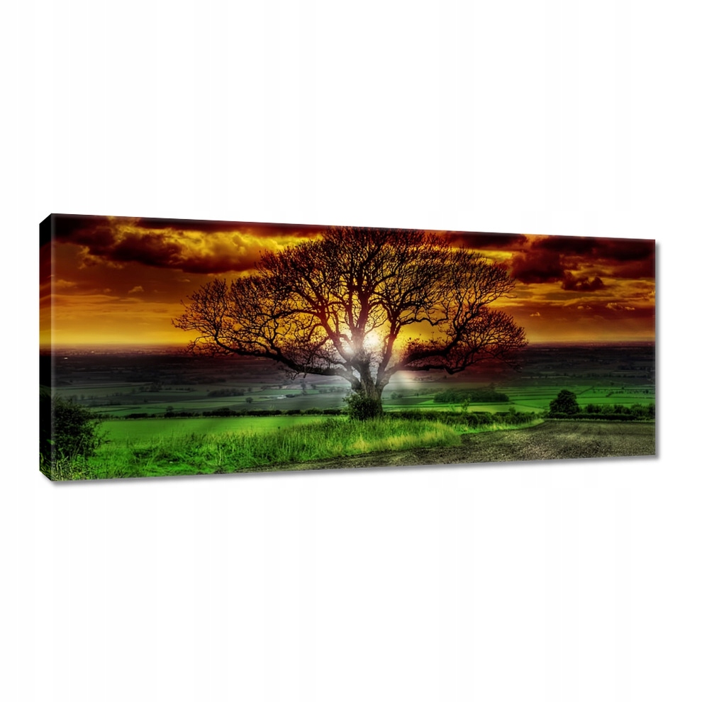 

Obrazy 100x40 Magiczne drzewo krajobraz