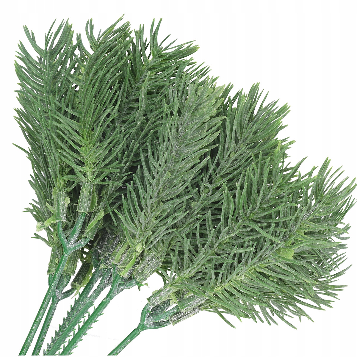 ŚWIERK GAŁĄZKA ŚWIERKOWA CHOINKA GĘSTE GAŁĄZKI 6gał Kolor zielony