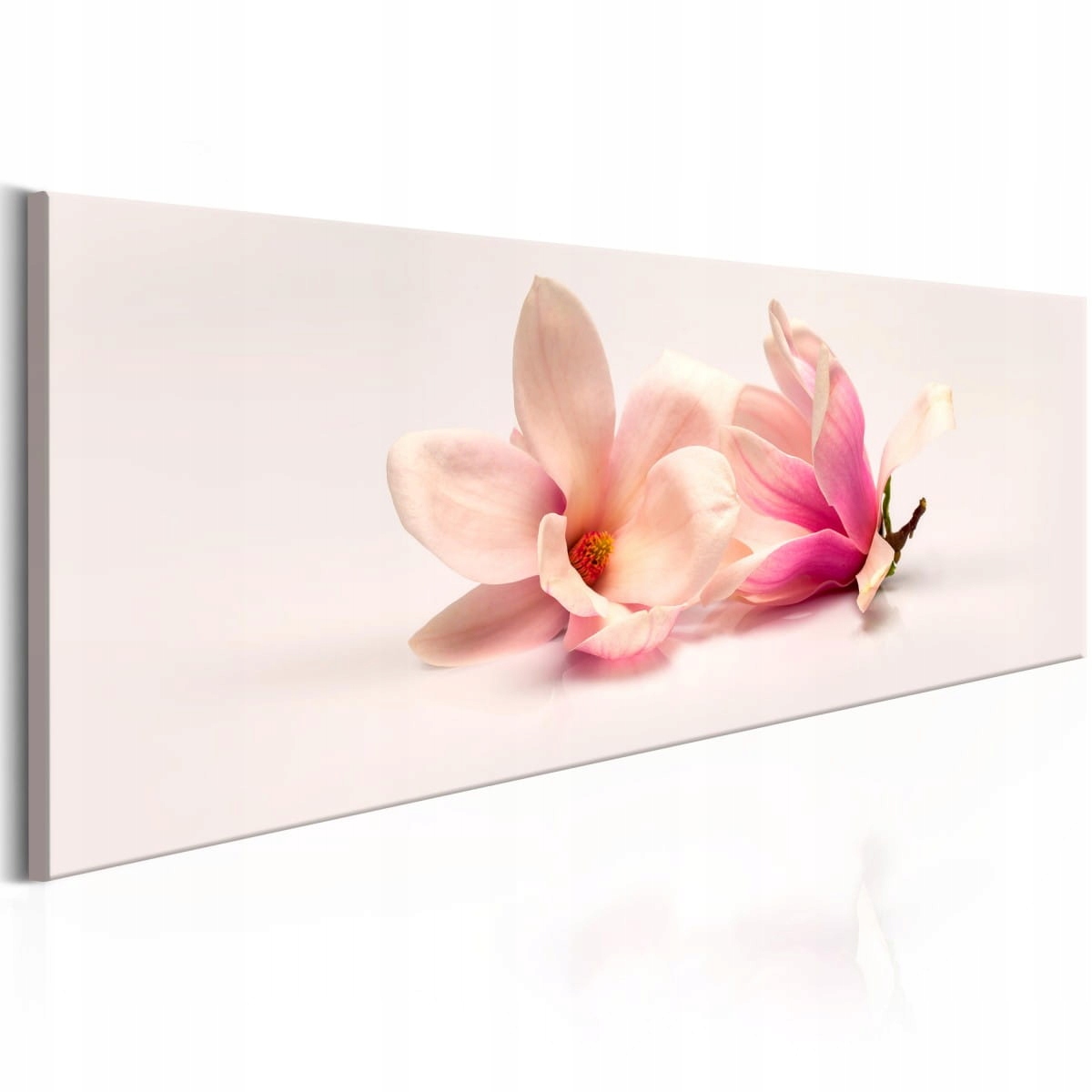 

Obraz - Piękne magnolie - 120X40