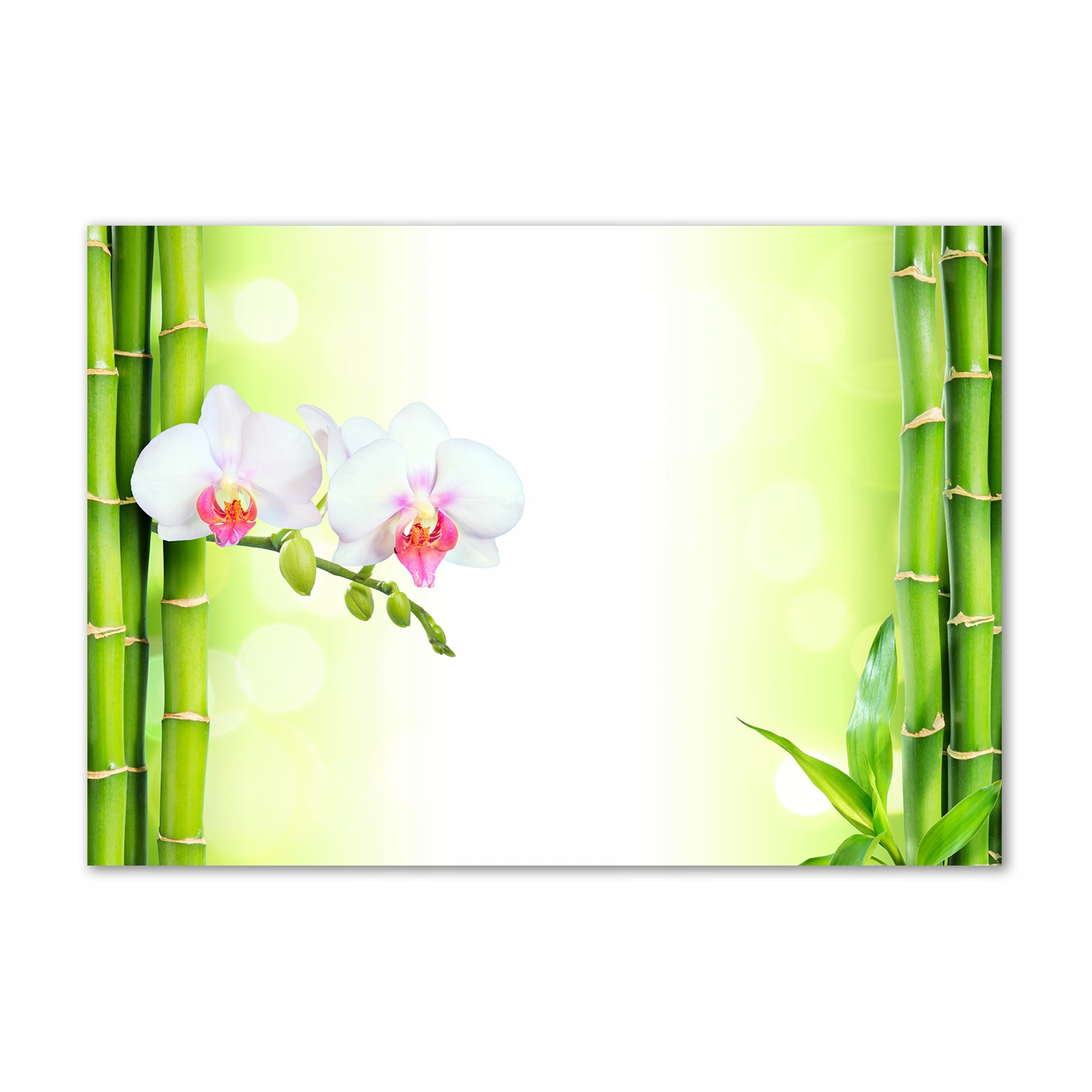 

Foto obraz szklany Orchidea i bambus 100x70