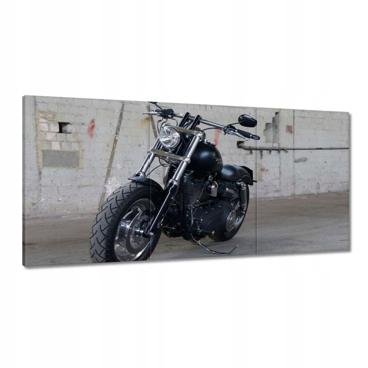 Obrazy 180x90 Harley Davidson