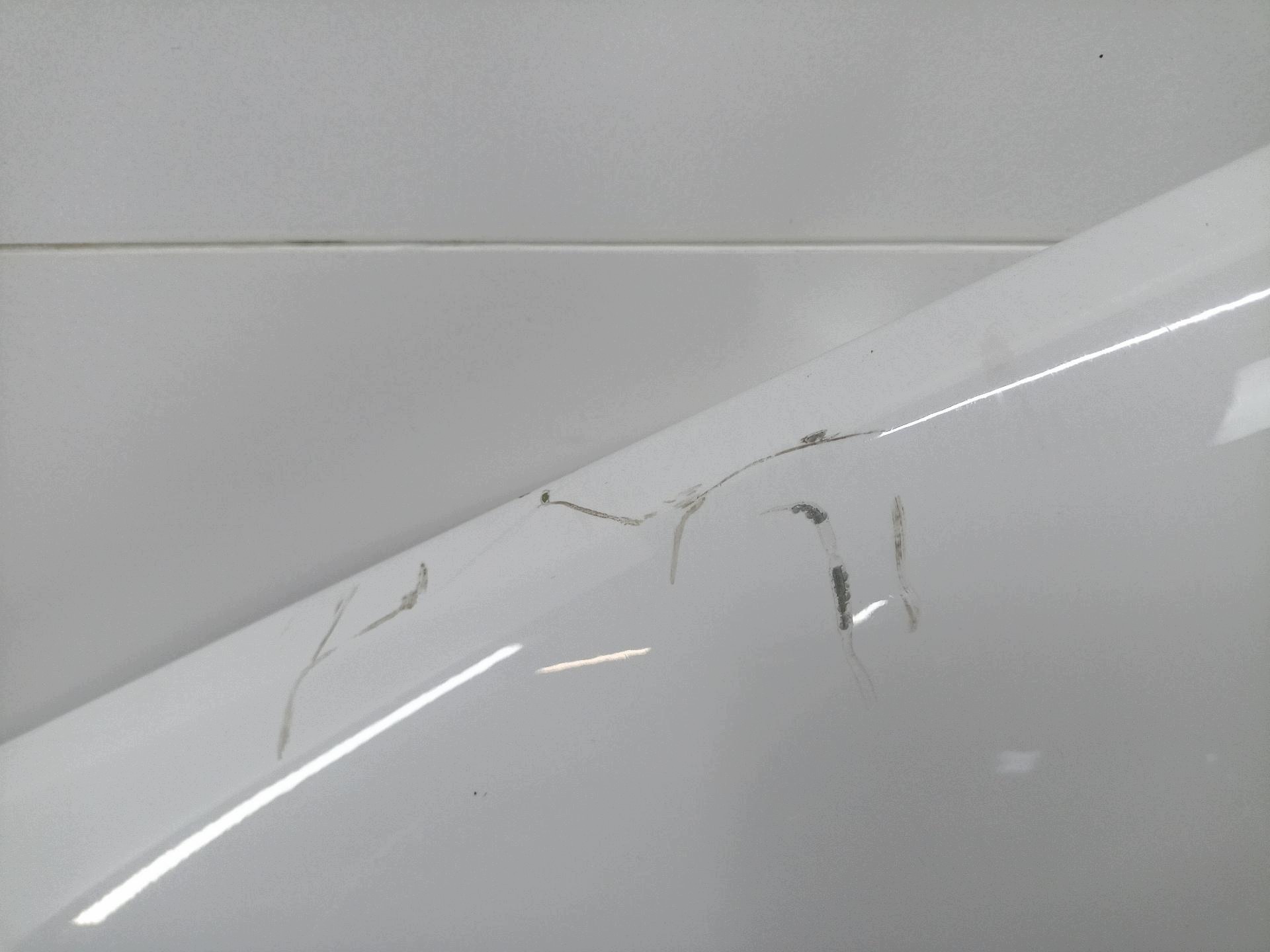 sárvédö eleje bal strona BMW 3 E90/E91 E91 2007