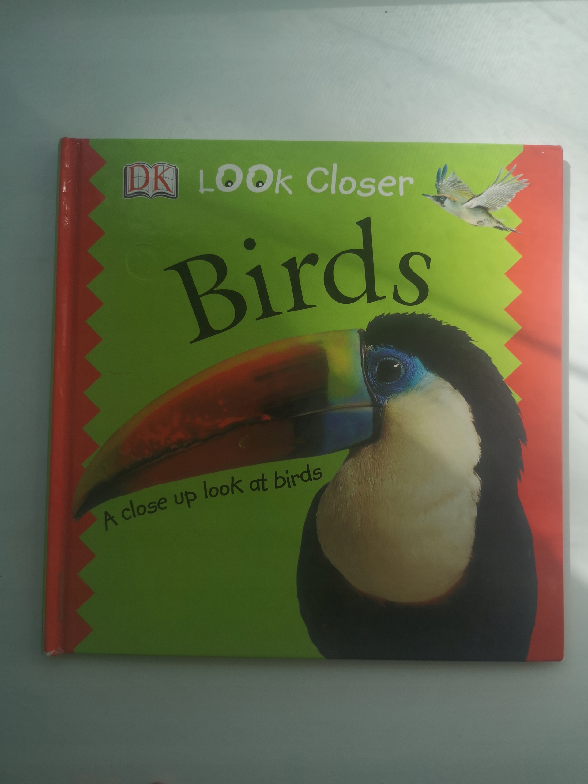 Look Closer: Birds, Sue Malyan, Ptaki książka DK