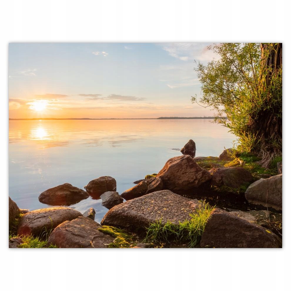 

Plakat 40x30 Kamienie drzewa morze
