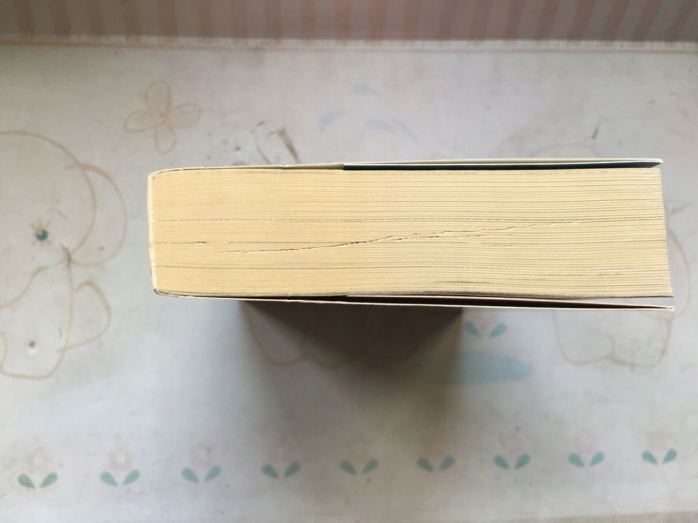 Na skraju strefy tom 1 Haladyn zona stalker Rok wydania 2016