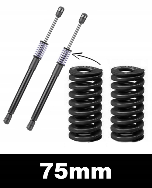 

Sprężyny Automatyczne Otwieranie Bagażnika Cz 75mm