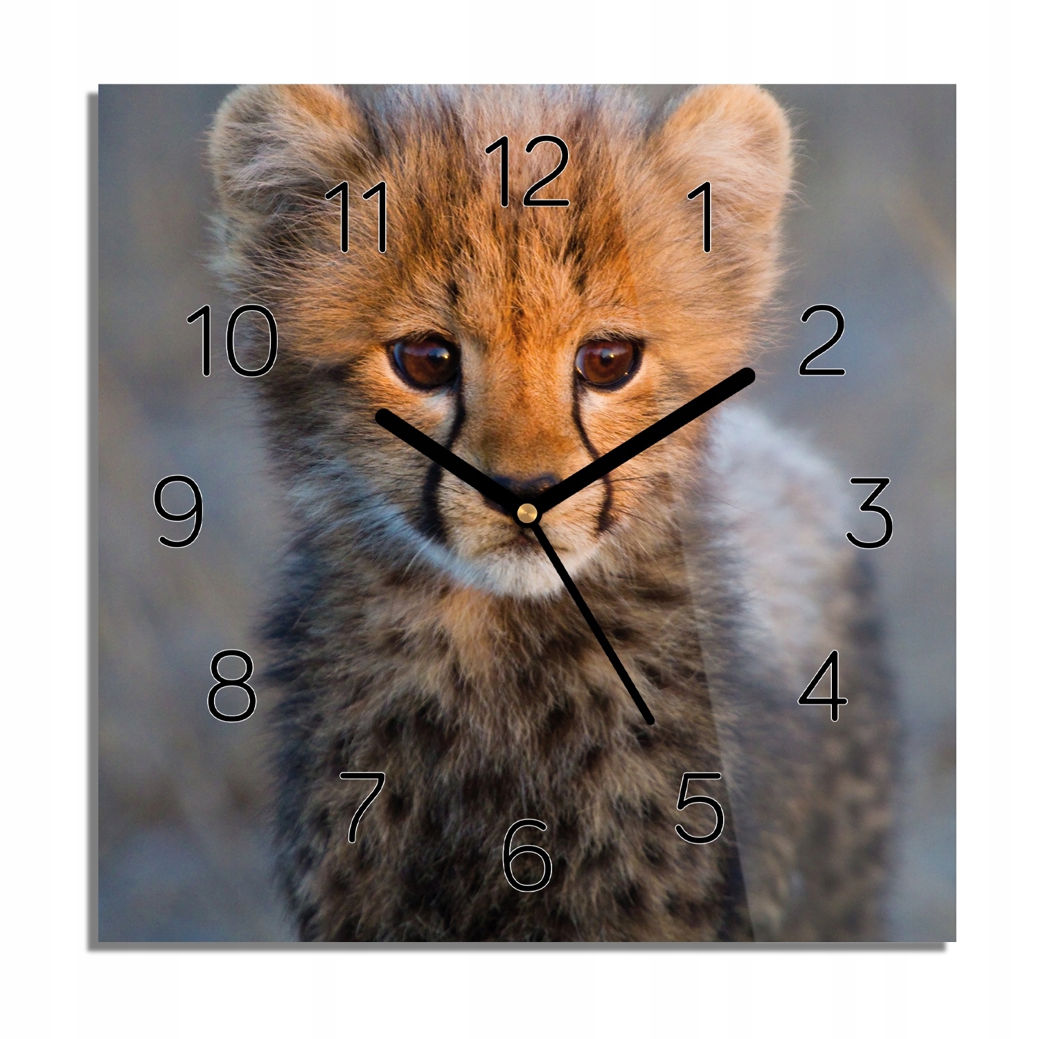 

Gepard kot dziecko foto-zegar nowoczesny 30x30