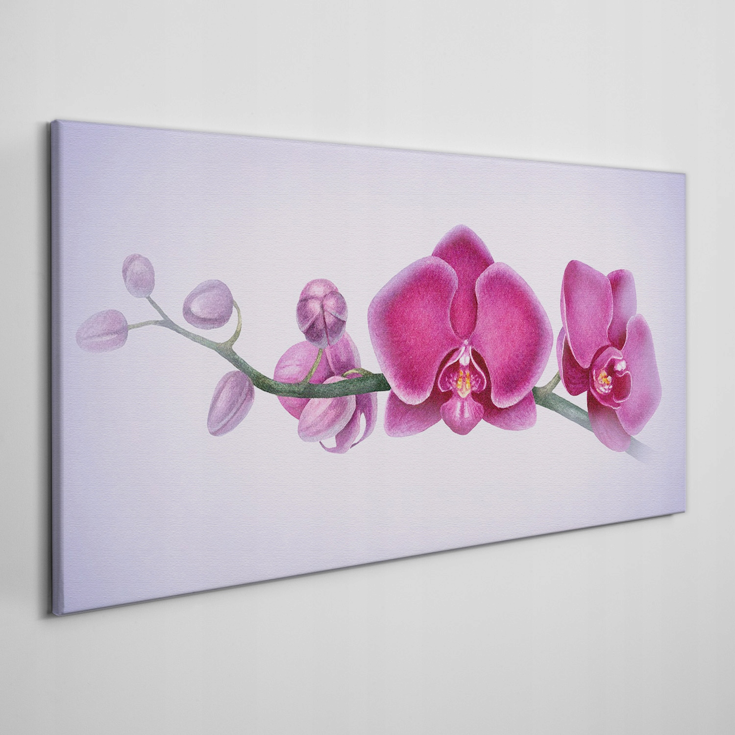 

Obraz płótno Akwarela kwiat gałąź orchidea 100x50