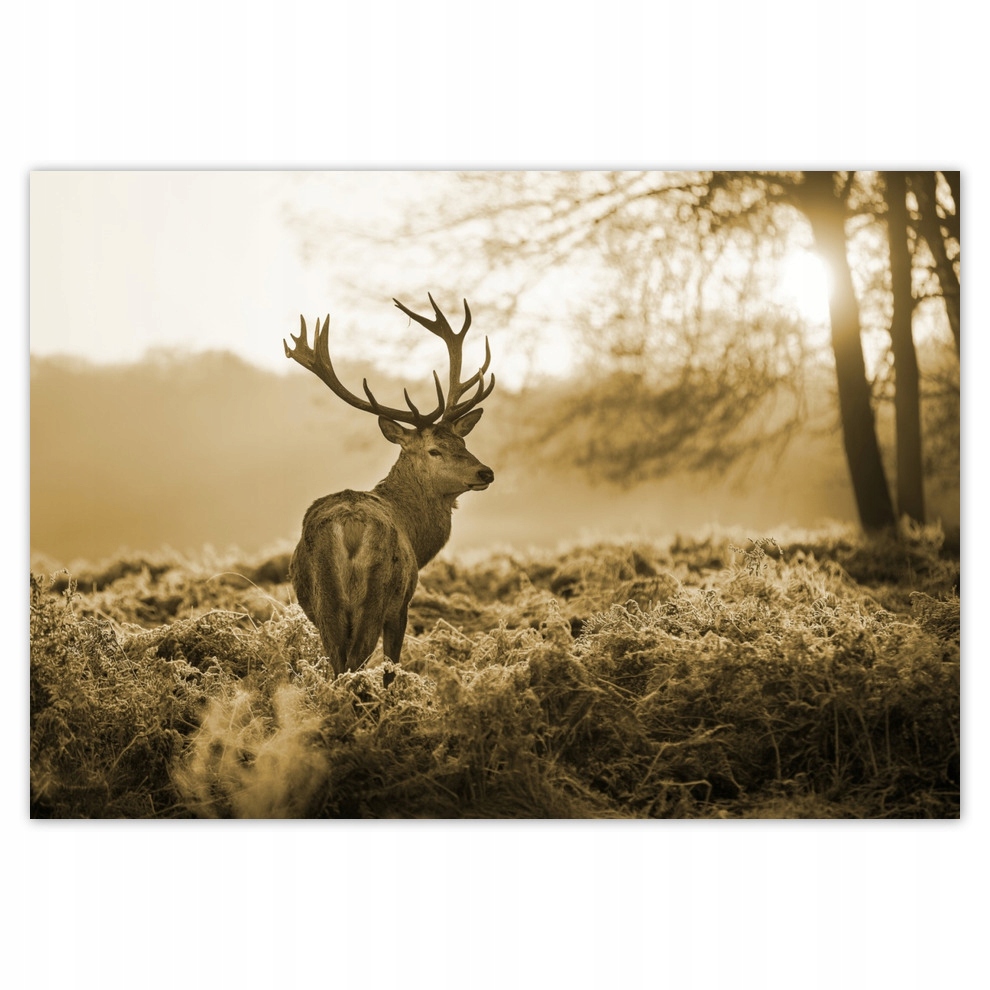 Fototapety flizelina 416x290 Jeleń Sepia