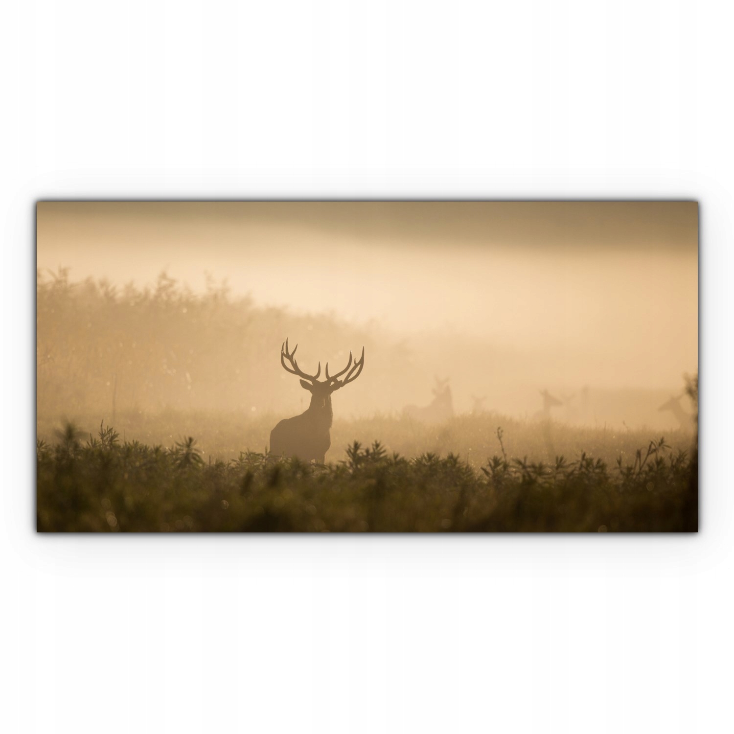 

Obraz płótno z foto 120x60 Jeleń Mgła Las Natura