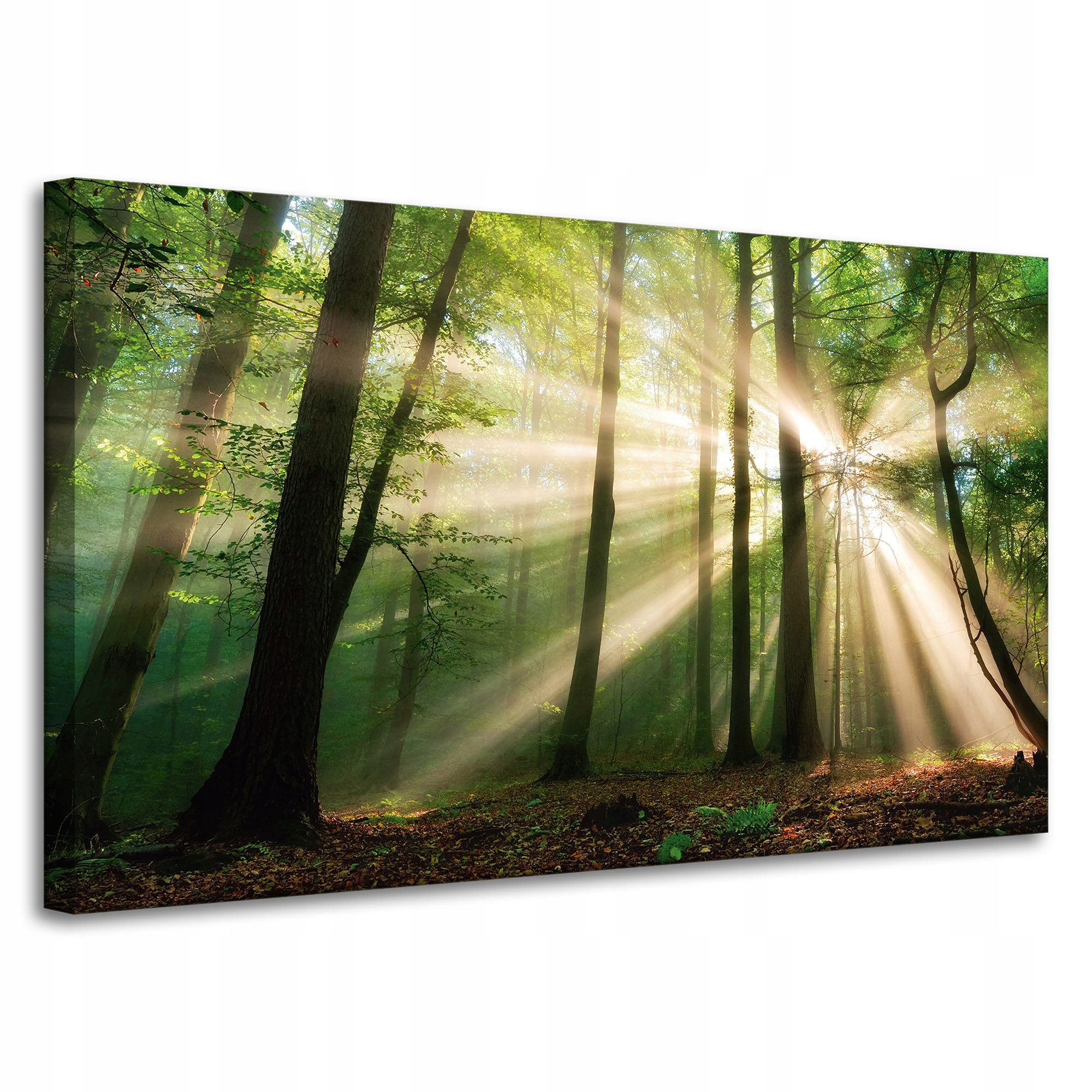 Obraz na plátně Slunce v lese Stromy Příroda 100x60 cm Ideální jako dárek