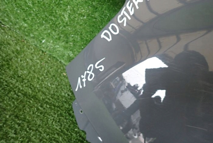 DACIA DUSTER II 17- fender left front front