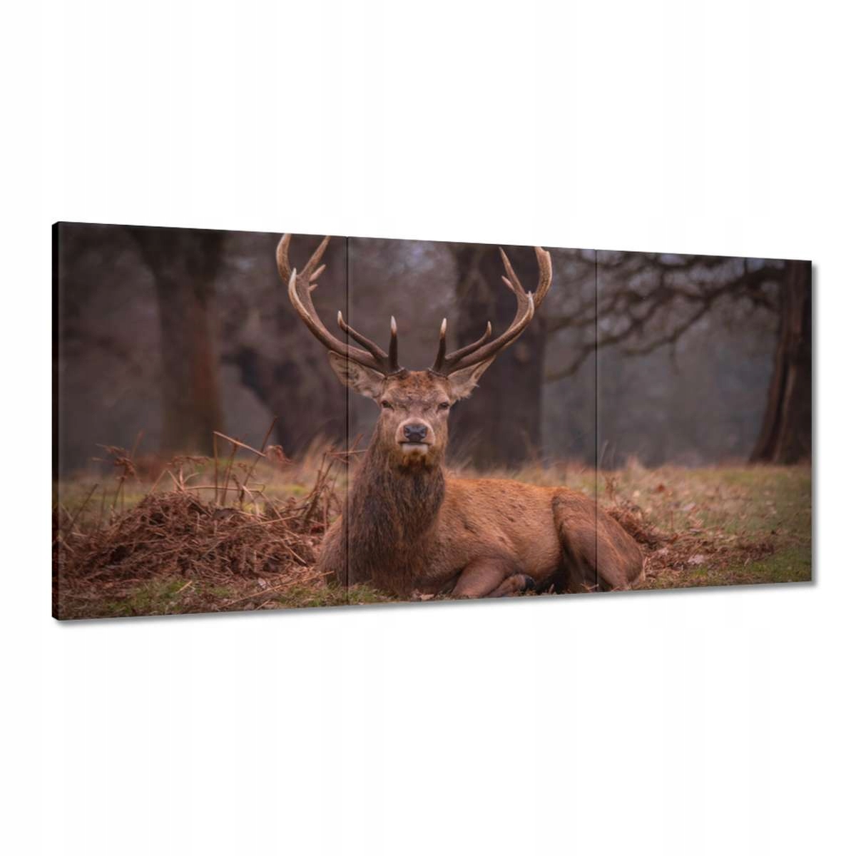 Obrazy 180x90 Jeleň Rogač