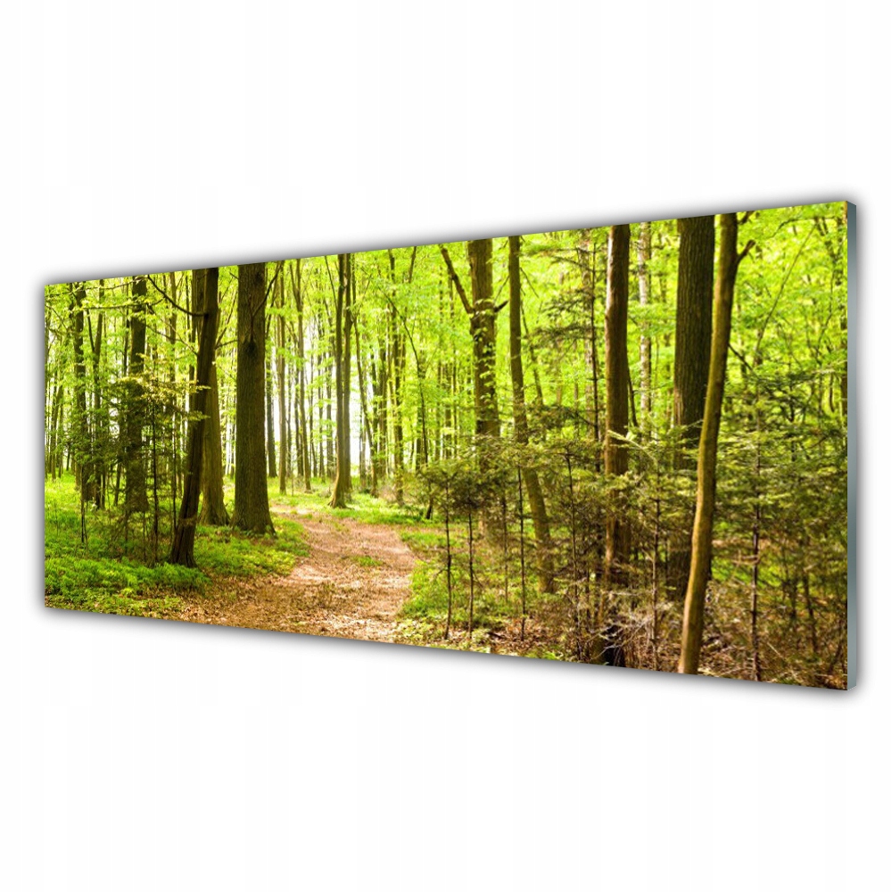 

Obraz akryl z nadrukiem 125x50 Las Ścieżka Natura