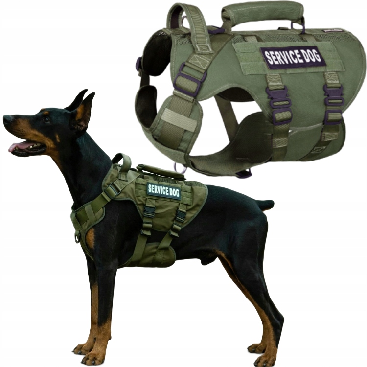 Levně Taktické postroje pro psa XL Vesta Vojenská služba Dog Zelená Silné