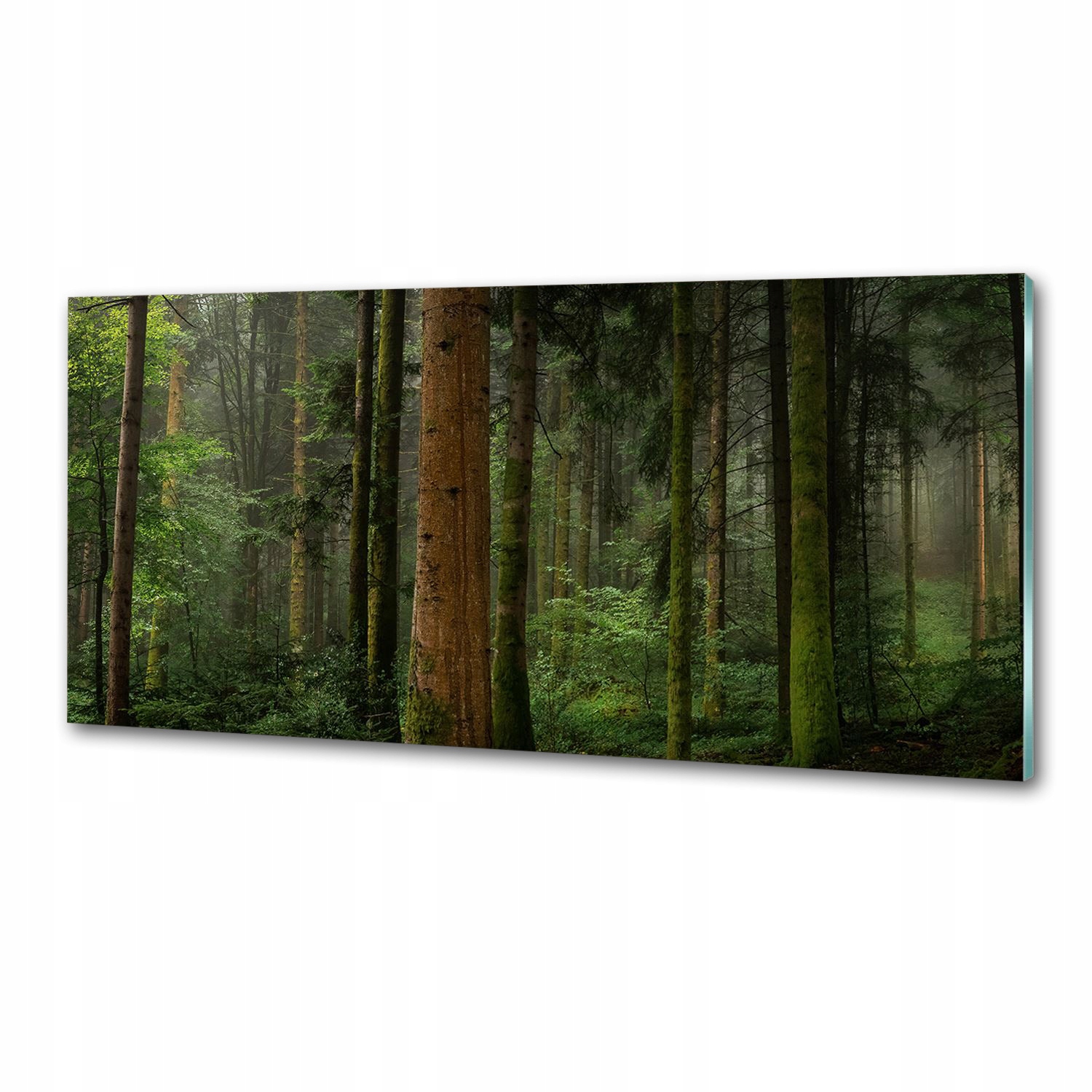 Panel dekor sklo Hmla v lese 125x50 cm Lepidlo