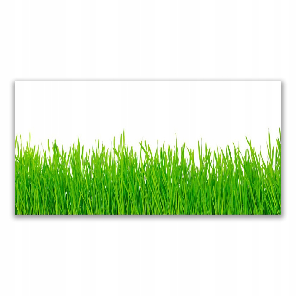 

Obraz akrylowy wiszący 120x60 Trawa Roślina Natura
