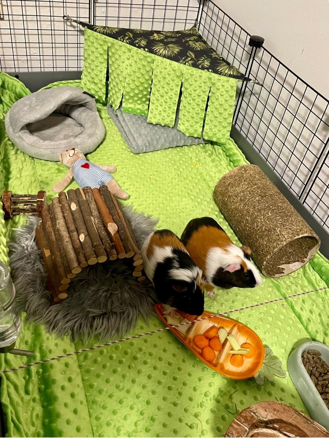 Podložka do klece pro prasátko, ježka 120x60 voděodolná béžová s okraji