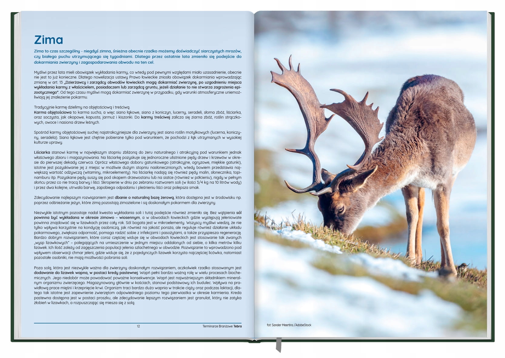 Terminarz Łowiecki - kalendarz książkowy 2024 B5 Producent Tebra