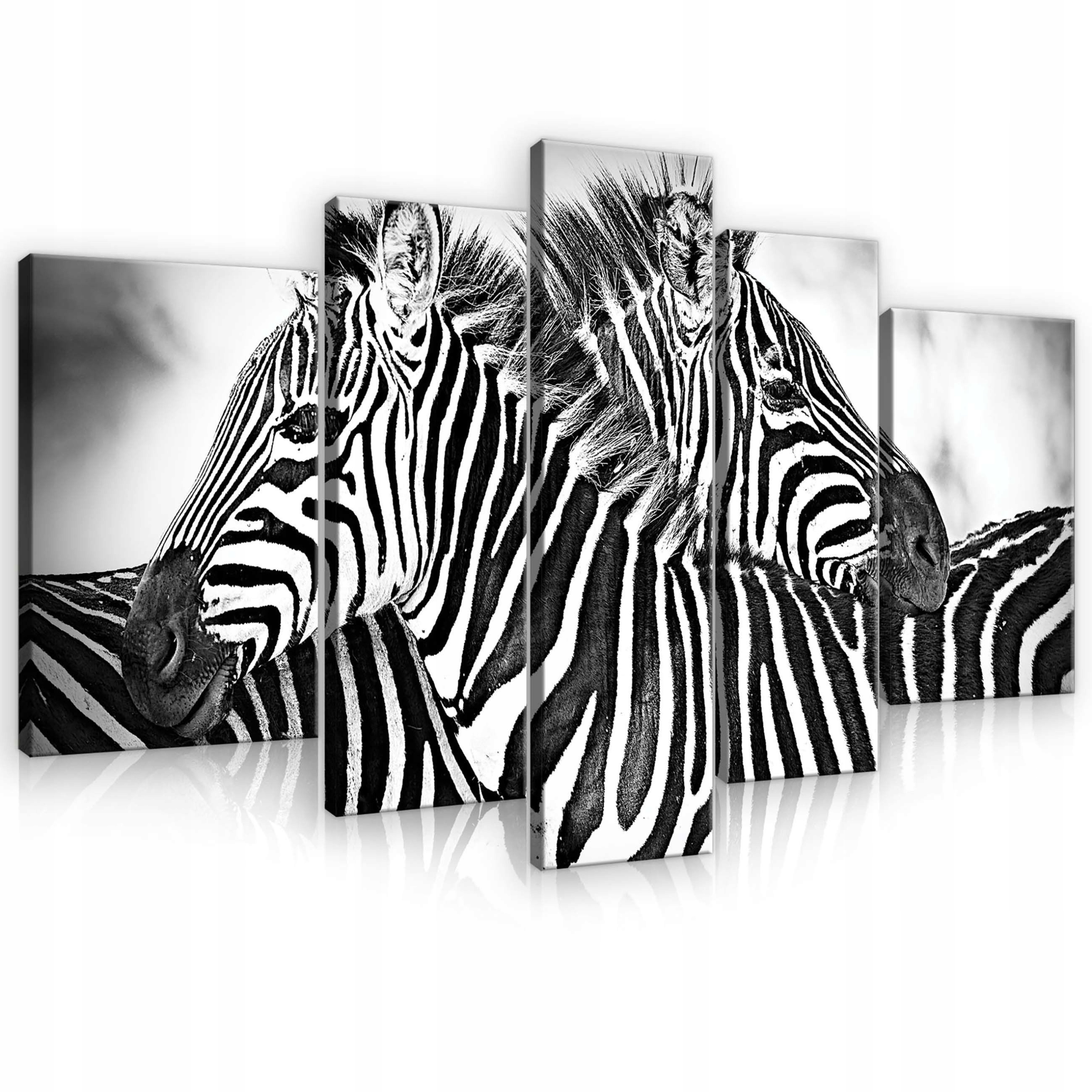 Obraz 170x100 Zebra pruhy divoká príroda Afrika monochromatická savana