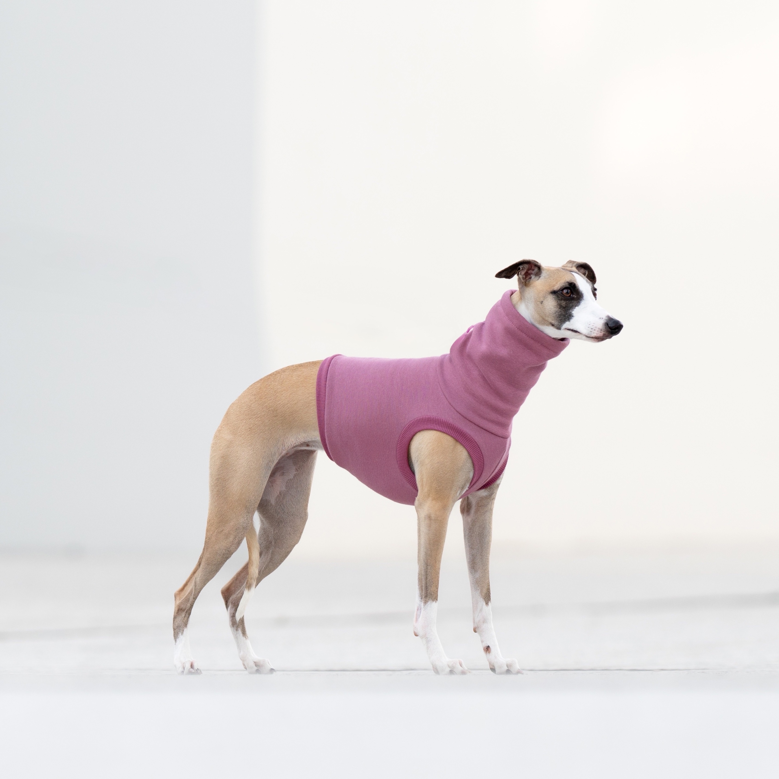 Oblečení pro italského chrtíka Bezrukávník Alpen Fleece