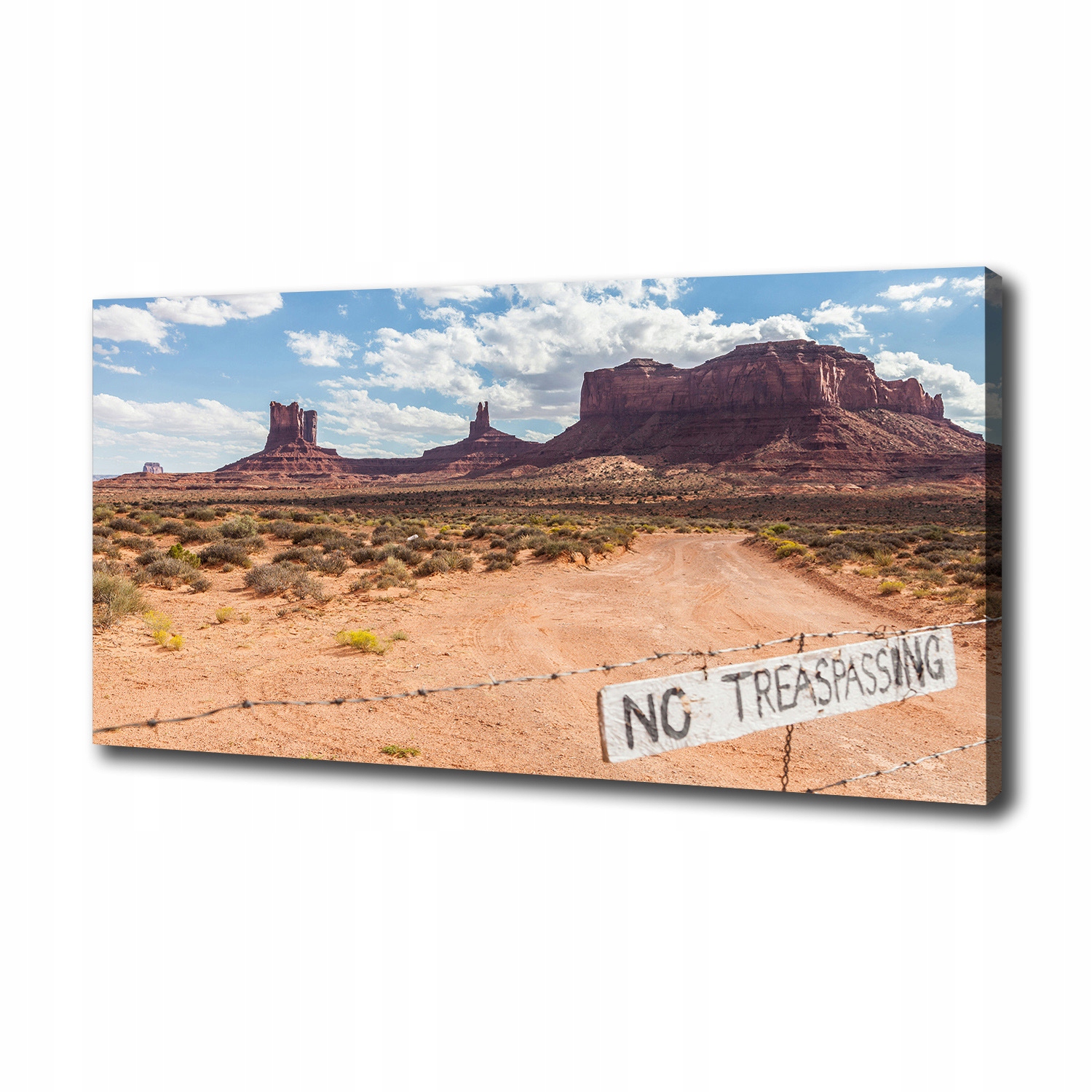 

Foto obraz canvas na ścianę Arizona Usa 100x50 cm