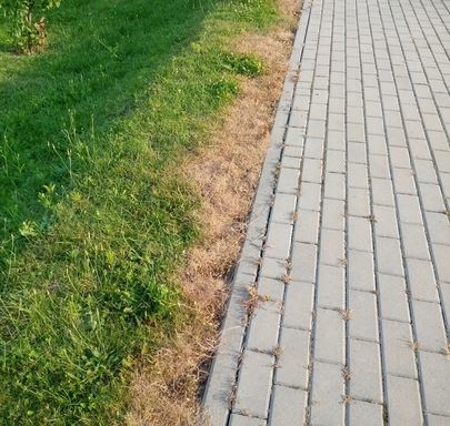 ROUNDUP 1L ZWALCZA CHWASTY PERZ RANDAP EAN (GTIN) 5411773150611
