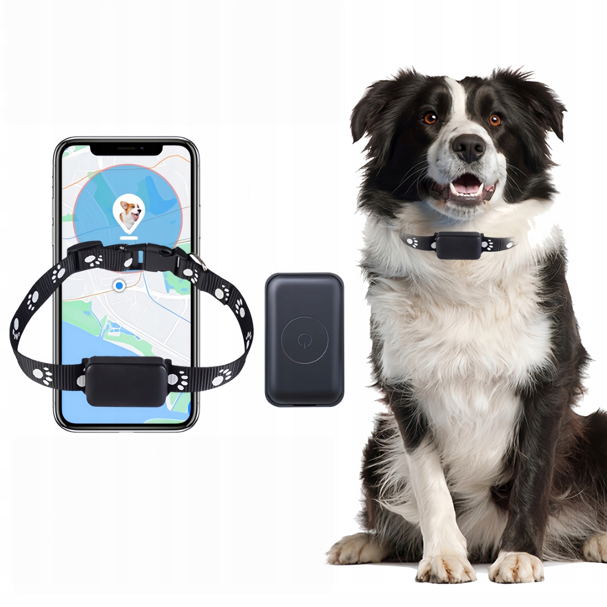 Gps Lokátor Pro Psa Kočku Zvířat Obojek Bez Předplatného Aplikace Mini