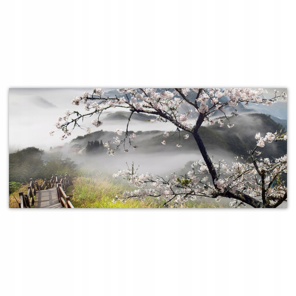 

Fototapety flizelina 211x91 Kwitnąca wiśnia