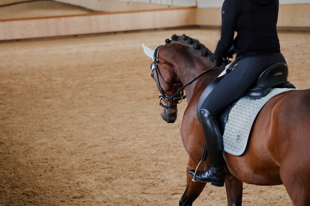 ESKADRON czaprak SATIN blue 24H [Rozmiar DR/Full] Kolor niebieski