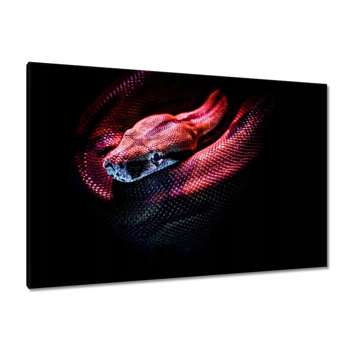 Obrazy 120x80 Zvířata Zvířátka