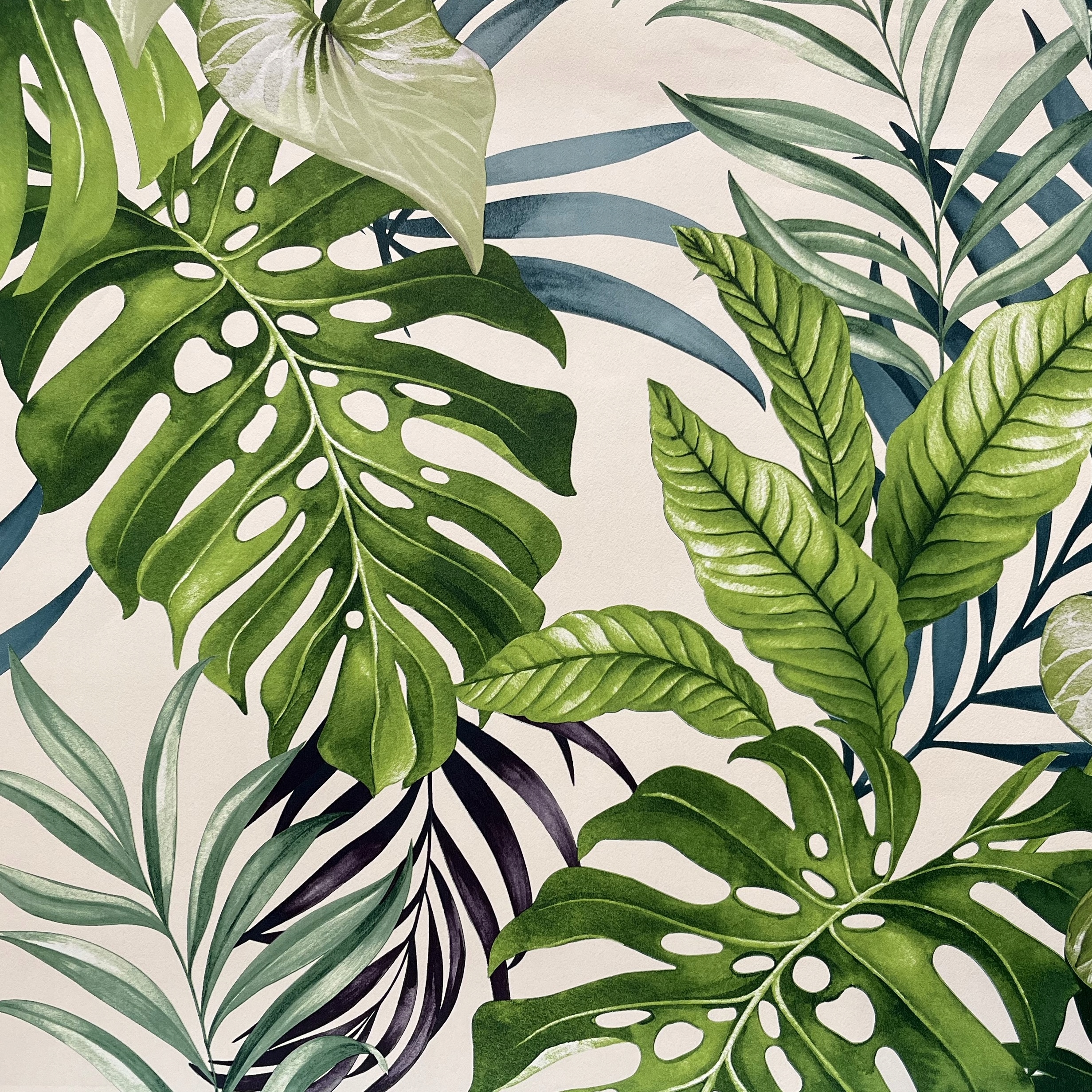 

Tapeta Dżungla Duże Liście Monstera Paproć Liś