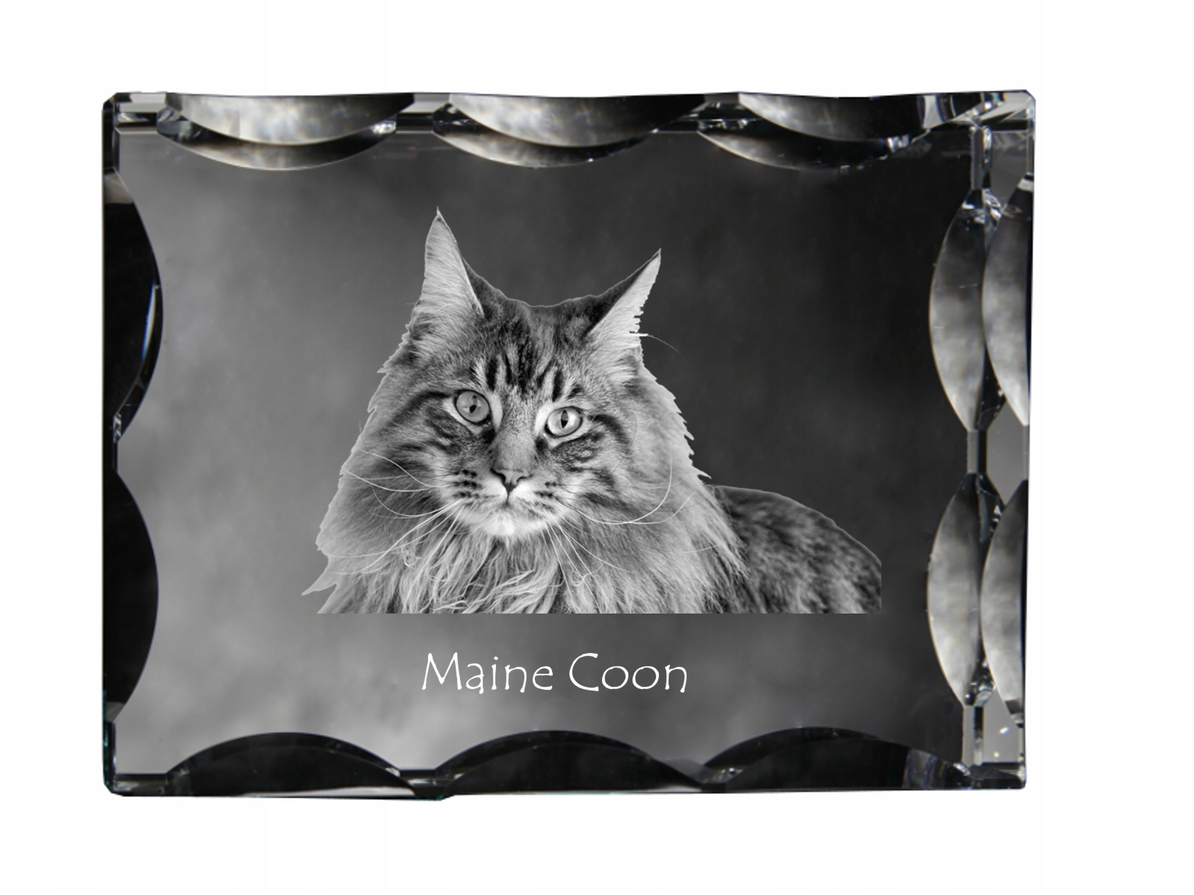 Maine Coon fotografia v ozdobnom kryštáli, suvenír, dekorácia domu