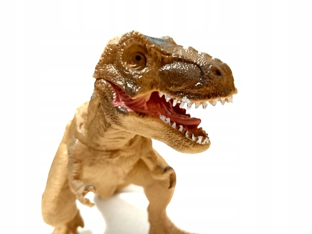 

Dinozaur Nr S 6 Real. Bardzo Duży Tyranozaur