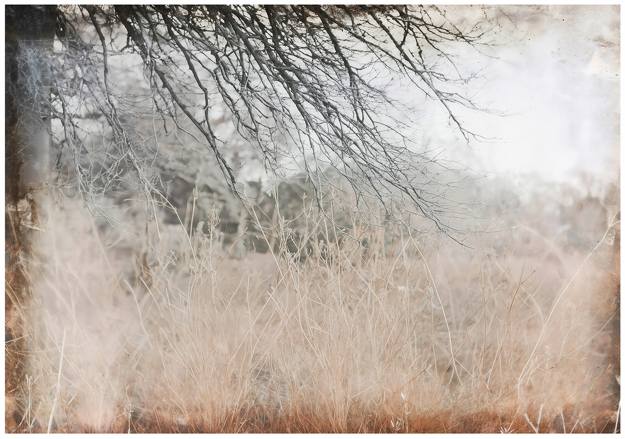 Fototapeta Abstrakce Retro Větve Loft Na Zeď Ložnice Obývací Pokoj 150x105