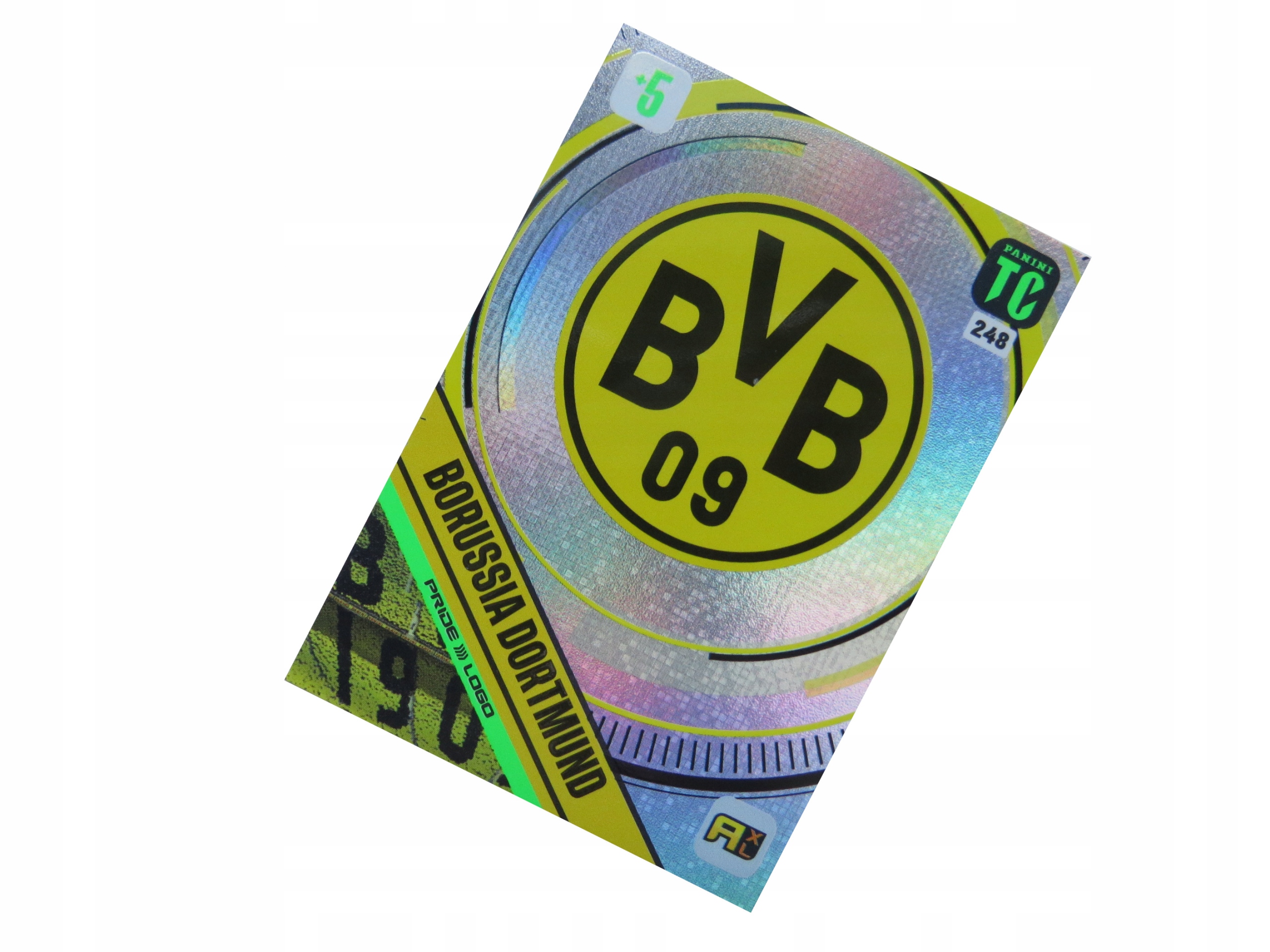 Panini Top Class Pride Logo Borussia Dortmund 248