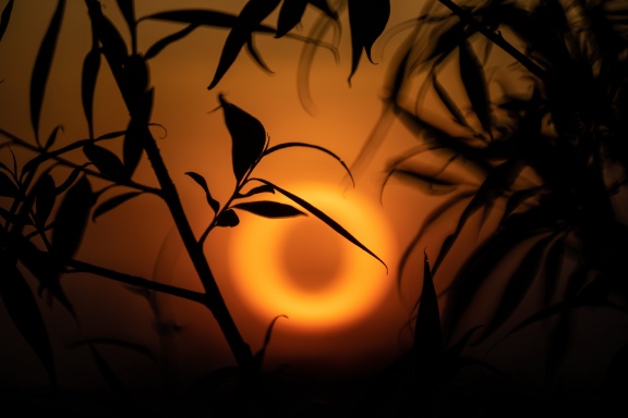 TTArtisan 250mm F5.6 Reflex M42 Donut Bokeh Model 250mm F5.6 Reflex M42 Donut Bokeh