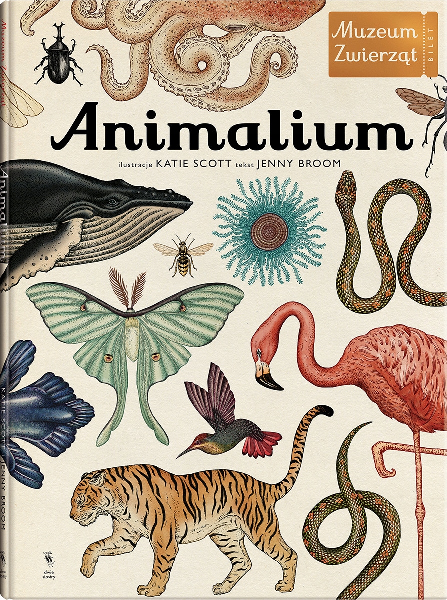 Animalium Muzeum zwierząt Jenny Broom Katie Scott
