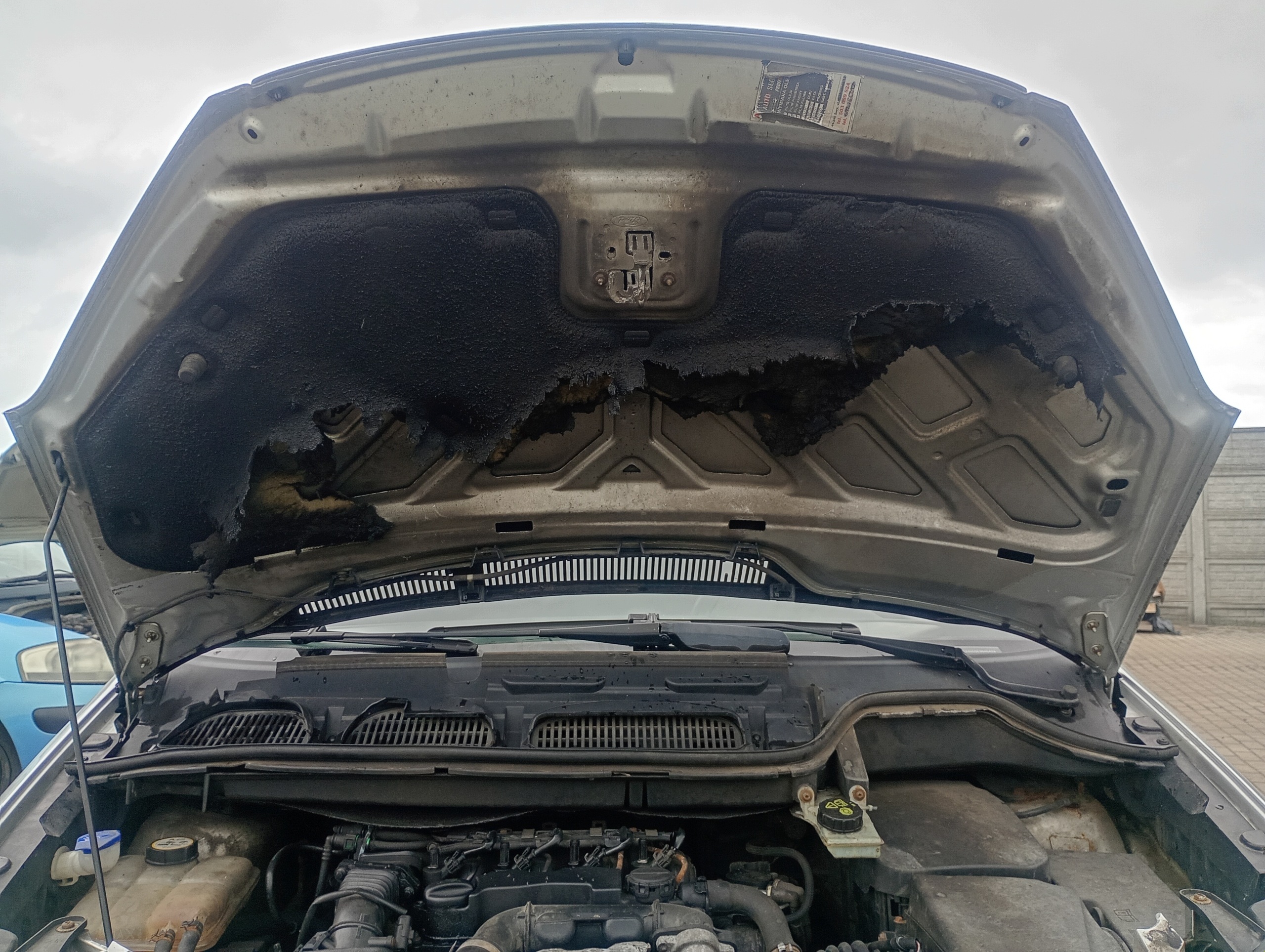 Cofano Ford C-MAX 1 e FL 07-11 kod lakieru O3