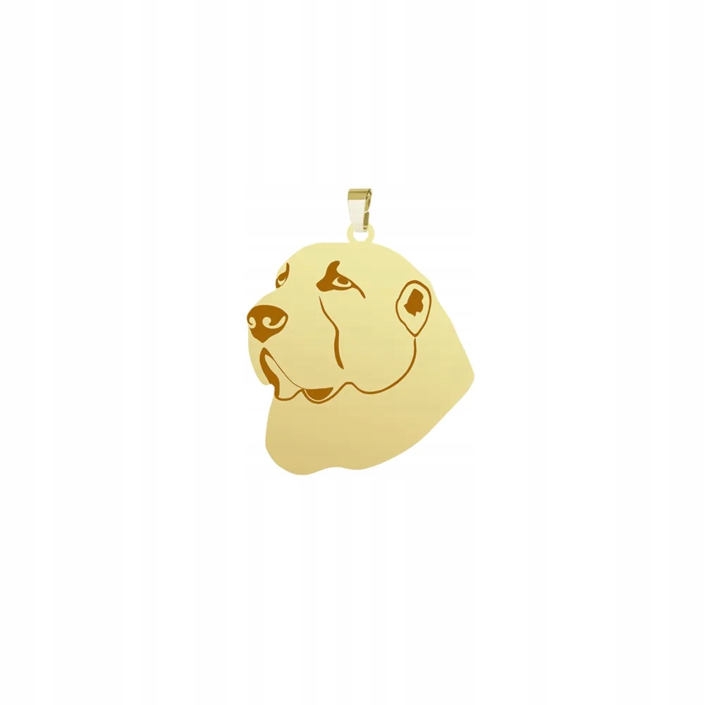 Zlatý přívěsek se středoasijským ovčákem 925 Žena Dárek Gravírování