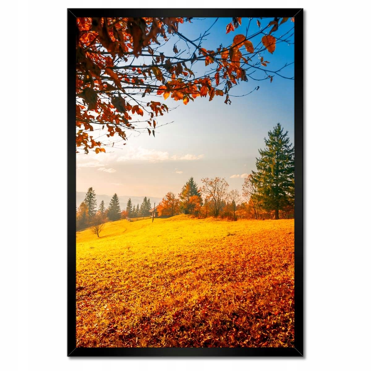 Plakáty v rámu 40x60 Podzimní krajina