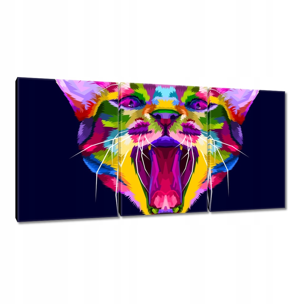 

Obrazy 240x120 Kotek Kotki Koty Kicia