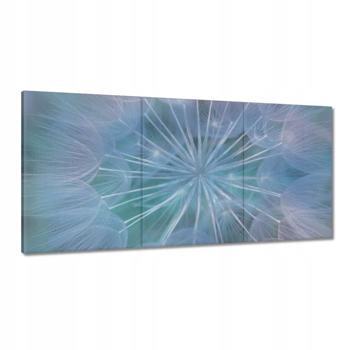 Obrazy 180x90 Púpava Kvet Kvety